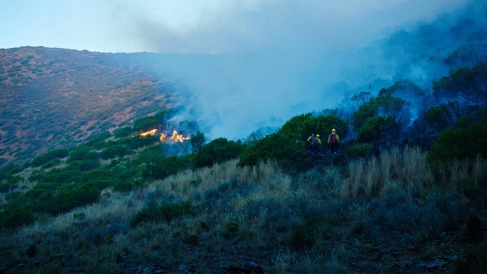Interventi dei Vigili del Fuoco a Palermo per incendi