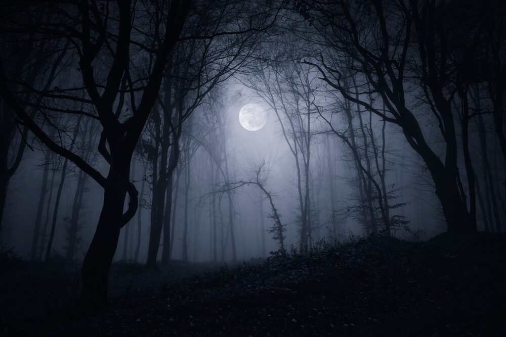 Silent Hill: Townfall - Un'Immersione Inedita nel Terrore
